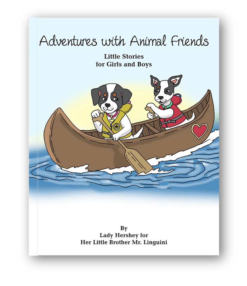 Adventure with Animal Friends