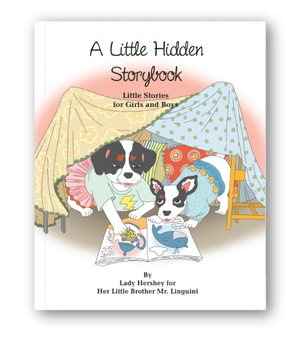 A Little Hidden Story Book cover